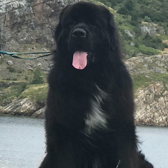 Meet your Posher, SjC - Picture 8 of 16